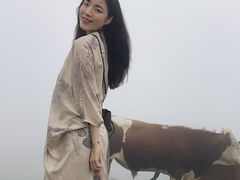 -大姆山草场