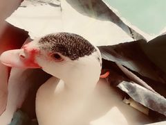 -一品格美术·中考高中成人美术培训