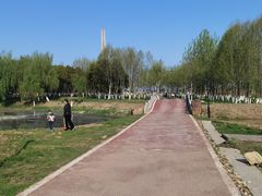 -合肥滨湖国家森林公园