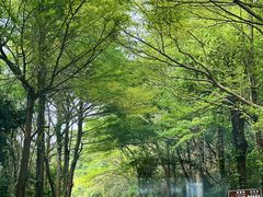 -东部华侨城