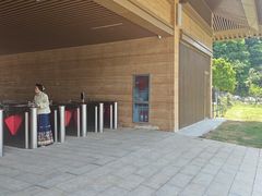 -千年银杏谷文化旅游区