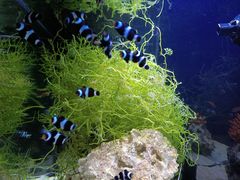 -沈阳海洋探索中心