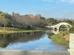 -上海海湾国家森林公园