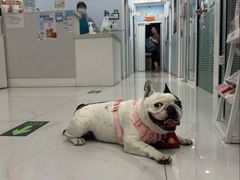 -纳吉亚猫专科动物诊疗中心(蒋宅口分院)