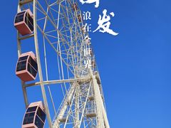 -顾村公园