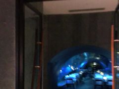 -海棠湾洲际-涛·海底餐厅·美人鱼·自助餐·海底隧道