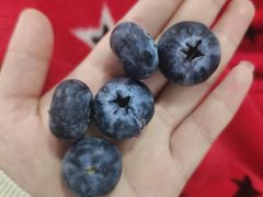 -盒马鲜生(杭州萧山万象汇店)