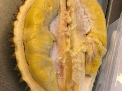 -都念榴莲·城市榴莲