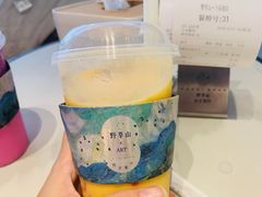 -野萃山·潮汕厚果汁(十亩地店)