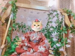 -汉仪华裳汉服馆(打浦桥店)