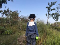 -南京市无想山景区