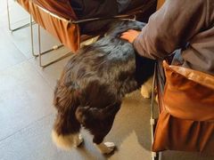 -Onirii Coffee(长乐路店)