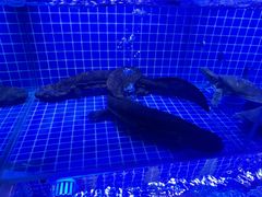 -侠成水上农庄(工业大道店)