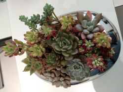 -颜蕾医美·黄金微针·水光·玻尿酸·超声炮·抗衰中心