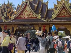 -西双版纳原始森林公园