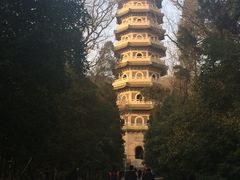 -灵谷景区