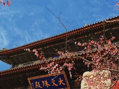 -五台山风景名胜区