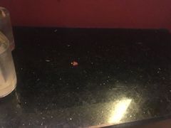 -萧邦音乐会所KTV·蒸汽活海鲜自助(福田店)