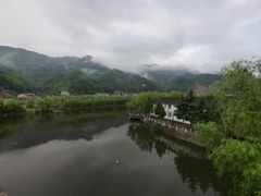 -后柳水乡