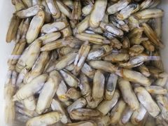 -宾朋海鲜特色美食餐厅·纯手工鲅鱼水饺(兴海路店)