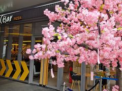-乐凯撒披萨(汇港购物中心店)