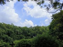 -番禺大夫山森林公园