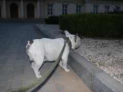 -北京拉斐特城堡酒店