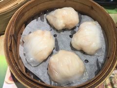 -添好运点心专门店(北角店)