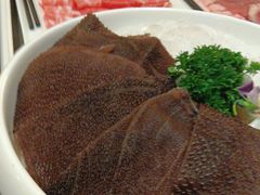 -君邦火锅(新疆大厦店)