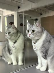 -我舞空间舞蹈培训