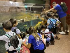 -上海市浦东新区恒宇幼儿园(杨南部)