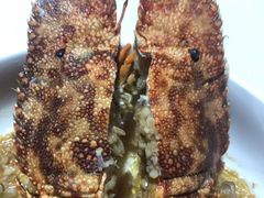 -北马里亚纳群岛博物馆