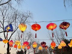 -青龙湖公园