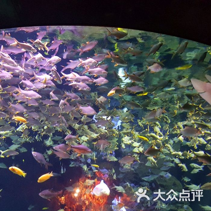 海濱城浩海立方海洋館