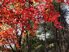 -木塔寺遗址生态公园