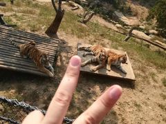 -大连森林动物园