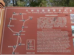 -大岭沟猕猴桃谷风景区