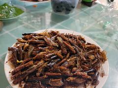 -金台阶鱼馆(于桥水库店)