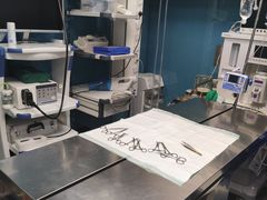 -爱诺耐芙动物医院(万博店)