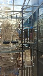 -PIPIKINGDOM皮皮王国欢乐号(欢乐海岸购物中心店)