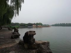 -洛阳市隋唐城遗址植物园