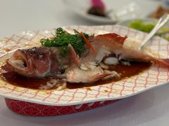 -金粤九号(李公堤店)