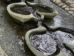 -成都市活水公园