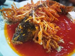 金毛狮子鱼-石饮红星包子(中山路店)