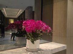 -国际青年会议酒店