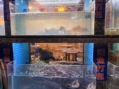 -浔味·山屿湖·正宗全鱼宴老字号