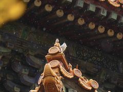 -故宫博物院(故宫)