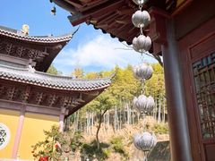 -东明山森林公园