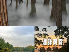 -东湖落雁景区