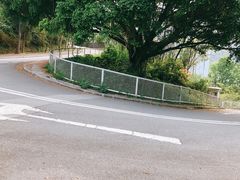 -大埔公路-马料水段香港中文大学(公交站)